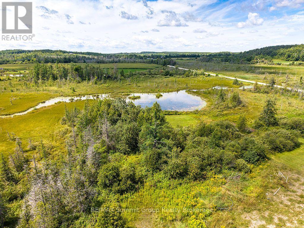 449686 10th Concession Road Property Photo 31