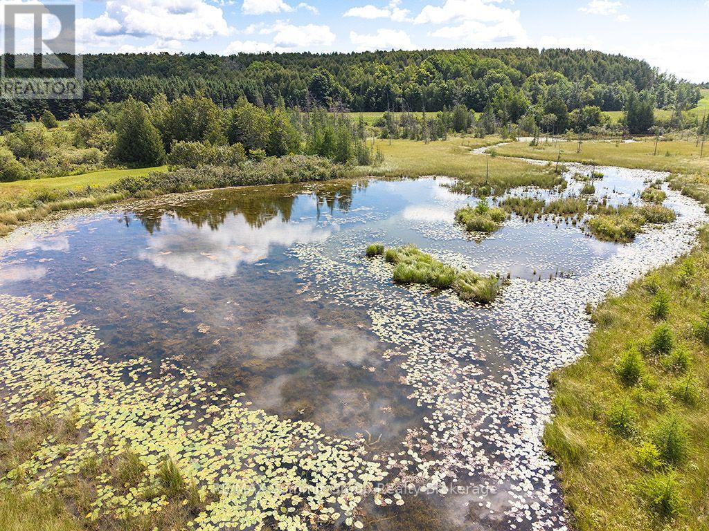 449686 10th Concession Road Property Photo 33