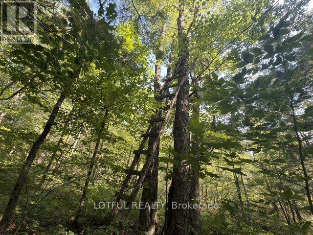 101 Maberly Station Road Property Photo 28