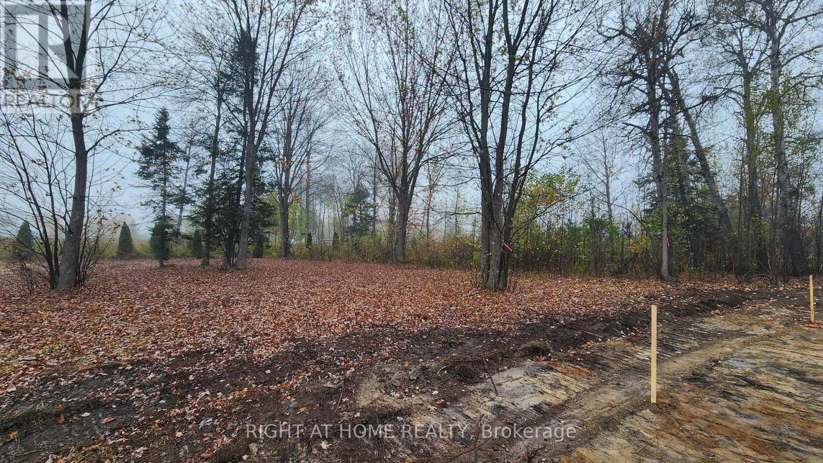 15 Concord Road Property Photo 8