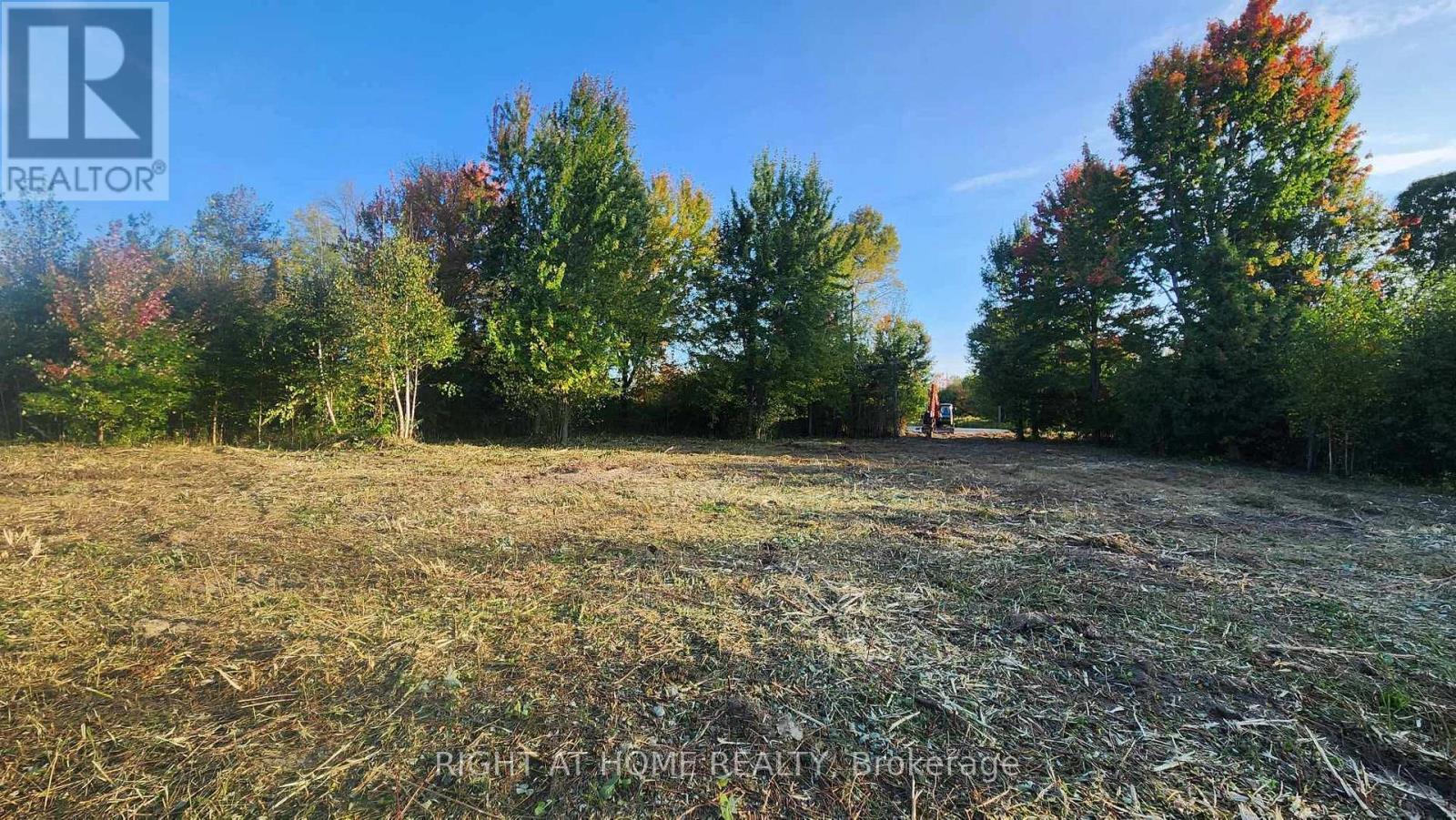 15 Concord Road Property Photo 16