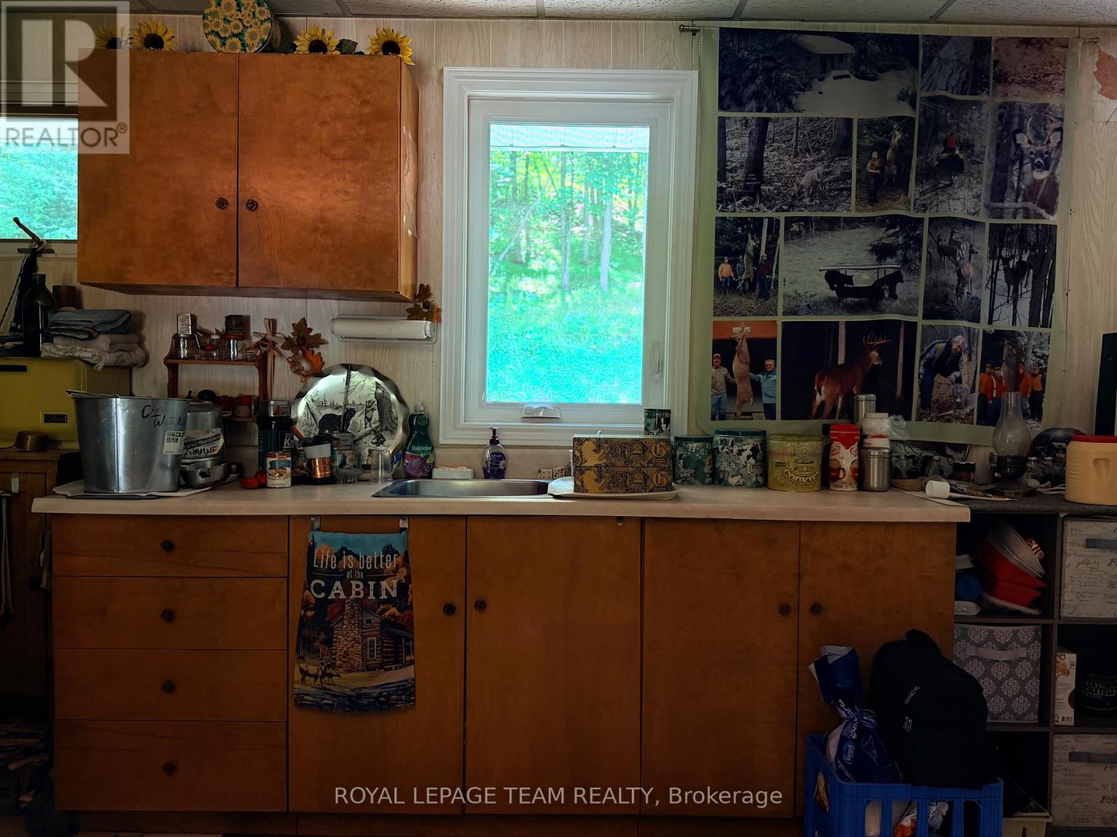 1506 Whelan Road Property Photo 27