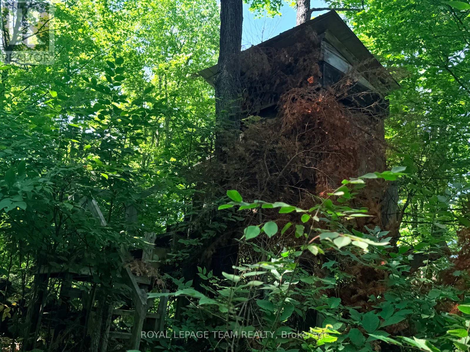 1506 Whelan Road Property Photo 33