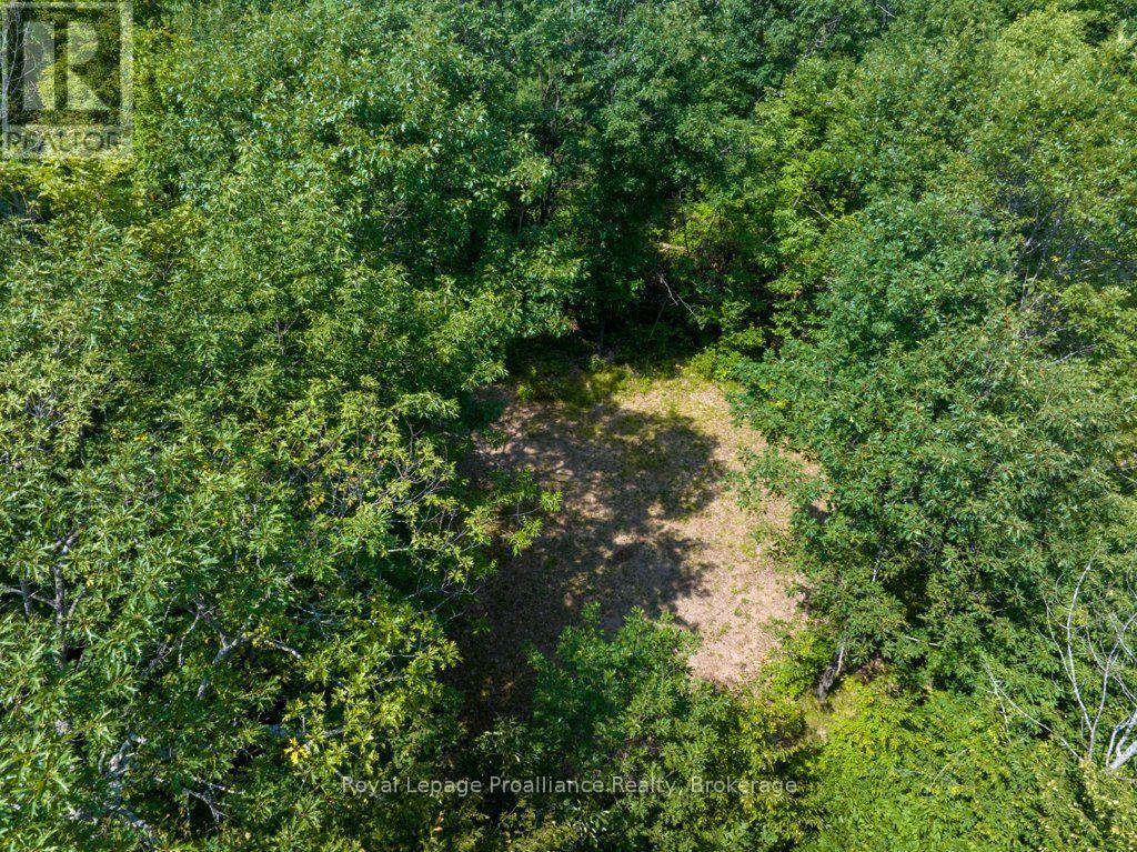 Lot 1 - 1412 Baker Valley Road Property Photo 4