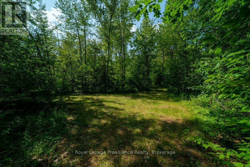 Lot 1 - 1412 Baker Valley Road Property Photo 18