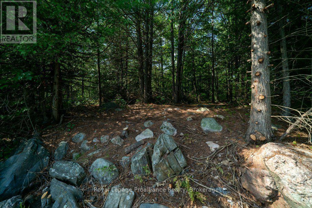 Lot 1 - 1412 Baker Valley Road Property Photo 34