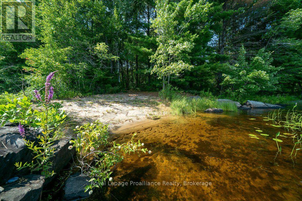 Lot 1 - 1412 Baker Valley Road Property Photo 41