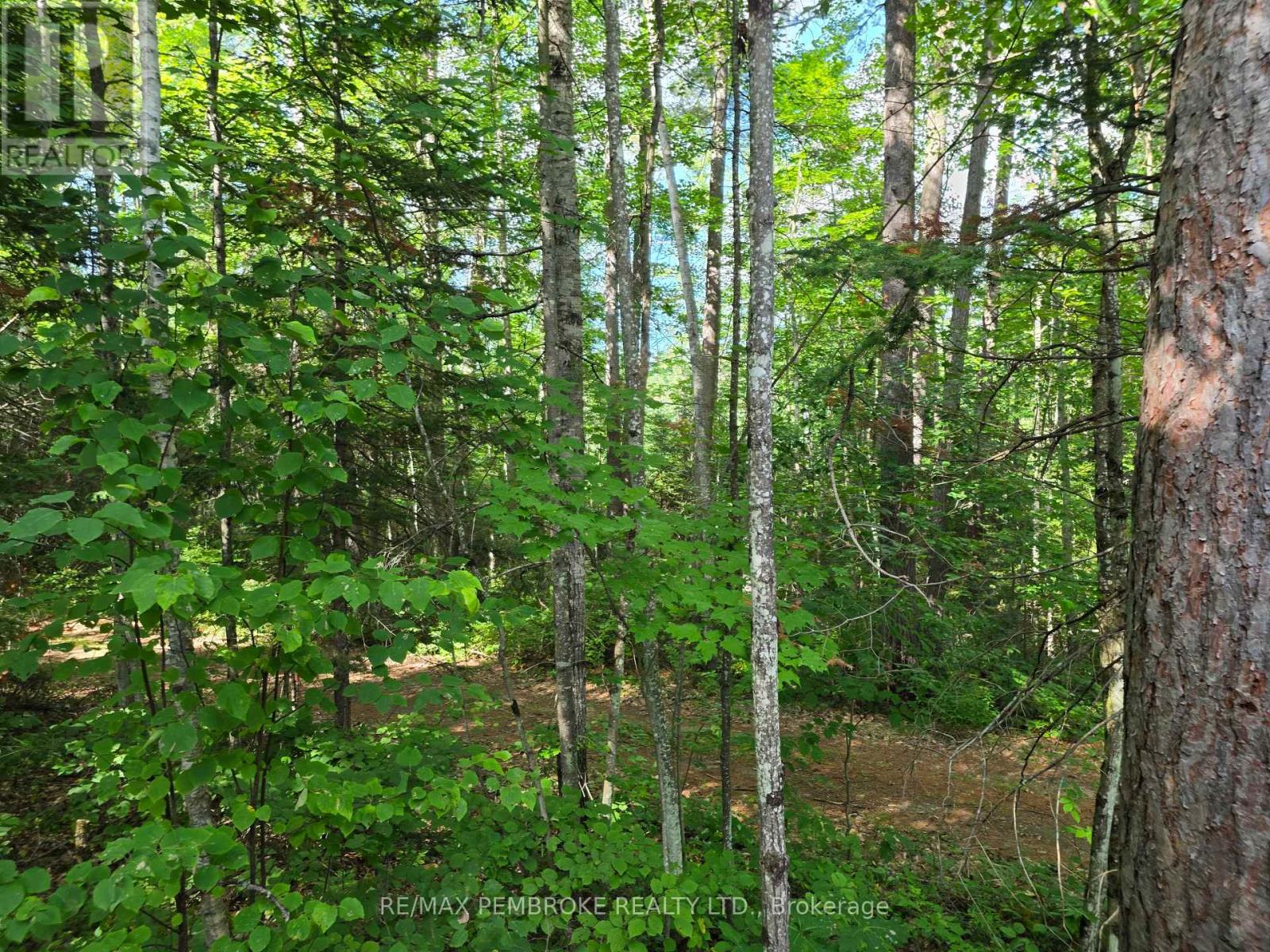 5032 Round Lake Road Property Photo 33