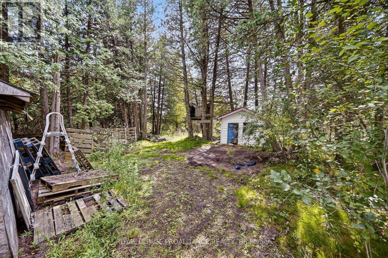 10250 County Road 15 Road Property Photo 34