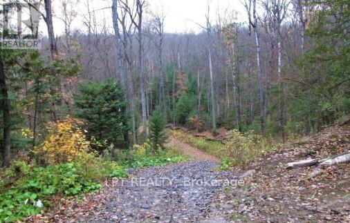 1827 Hybla Road Property Photo 3