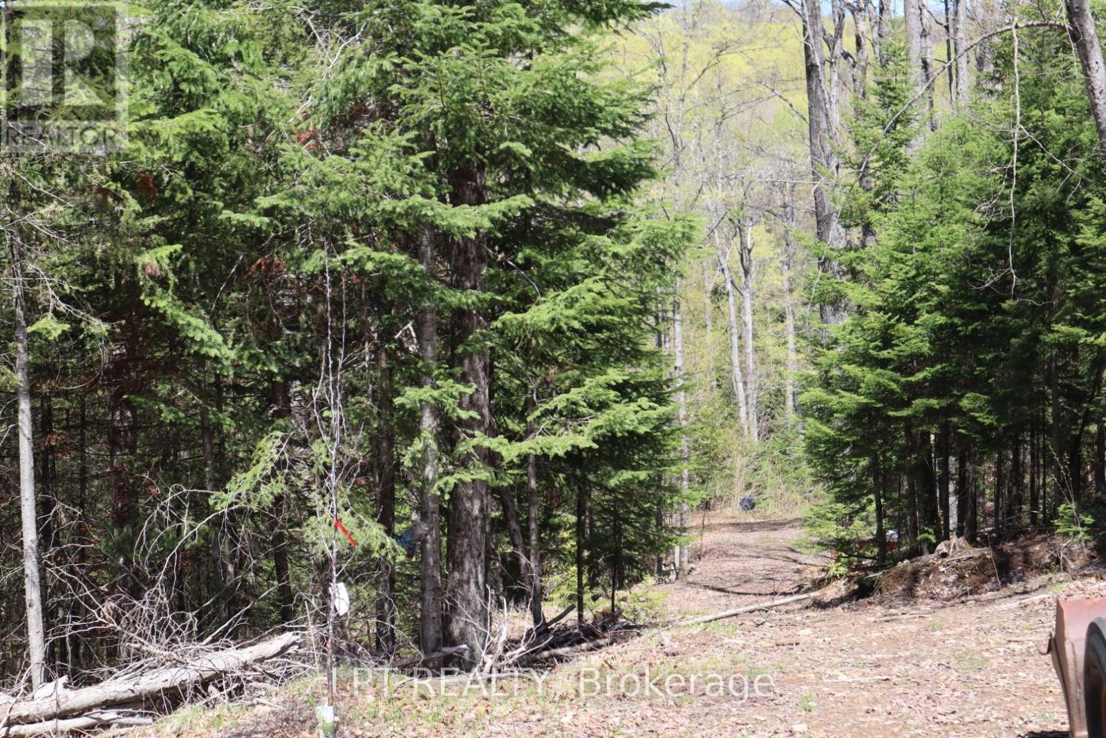 1827 Hybla Road Property Photo 9