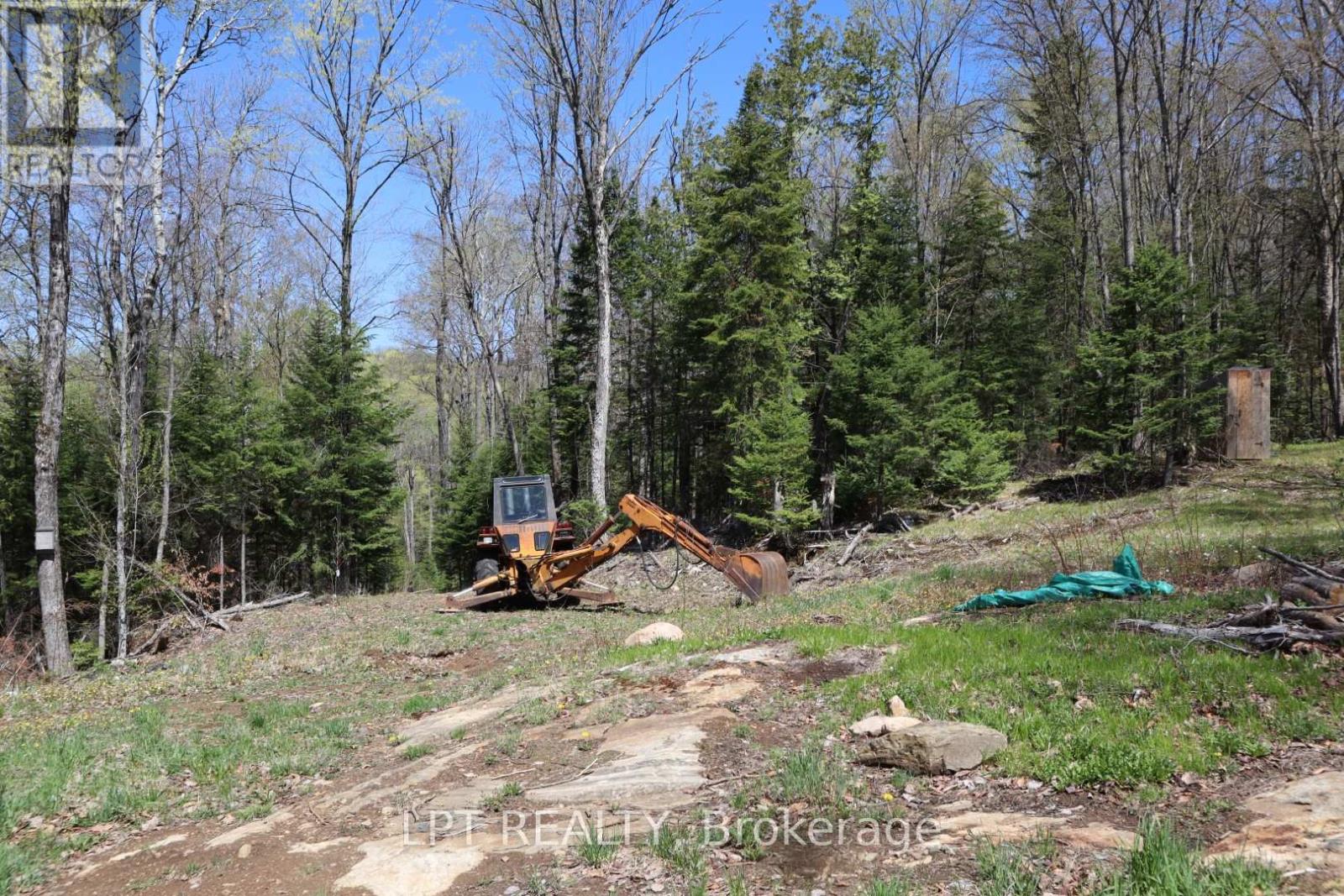1827 Hybla Road Property Photo 17
