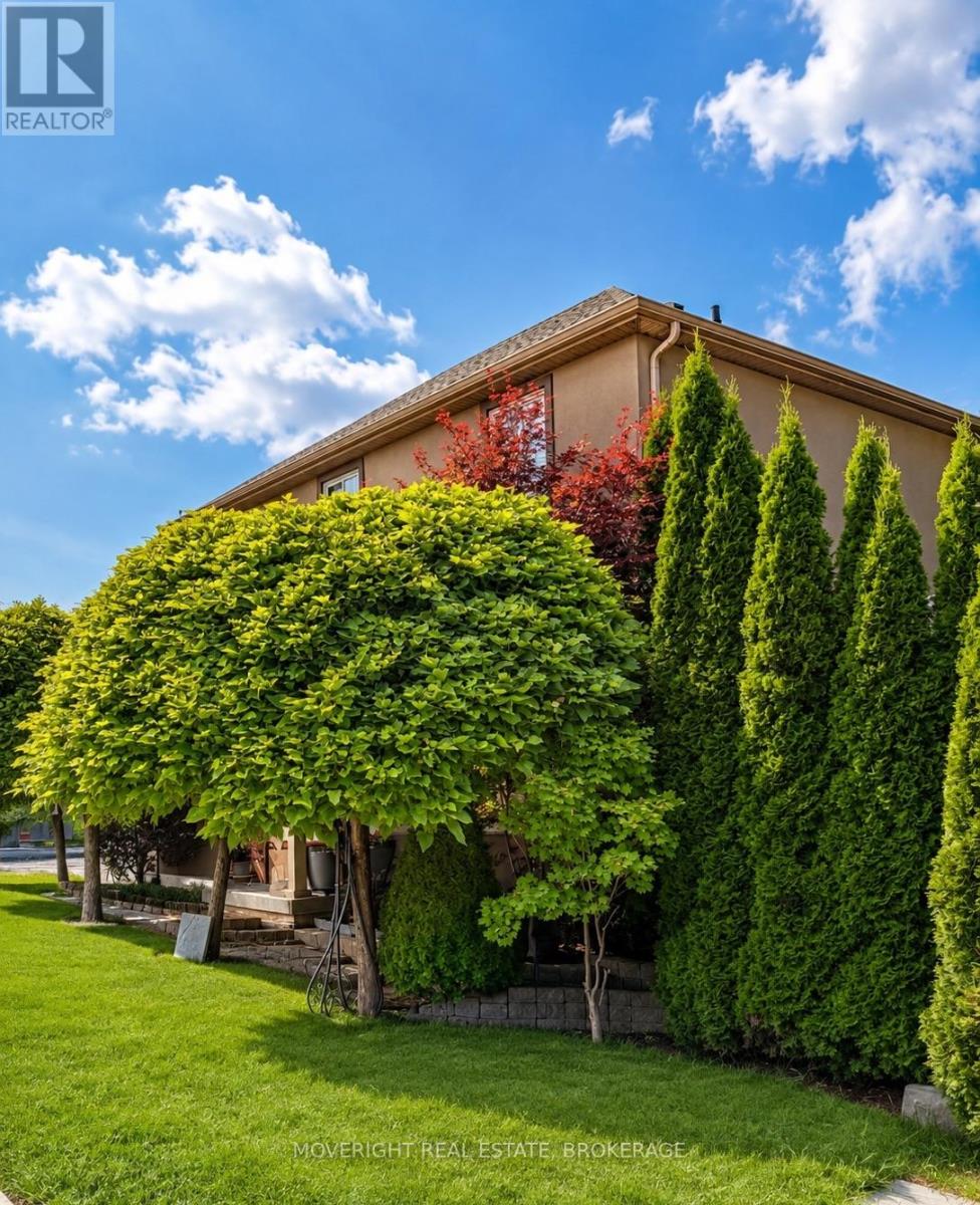 2 Leeson Street Property Photo 5