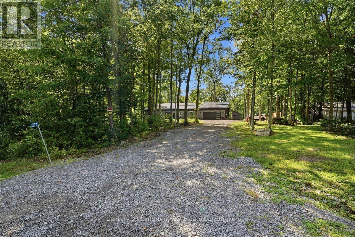393 Wood Road Property Photo