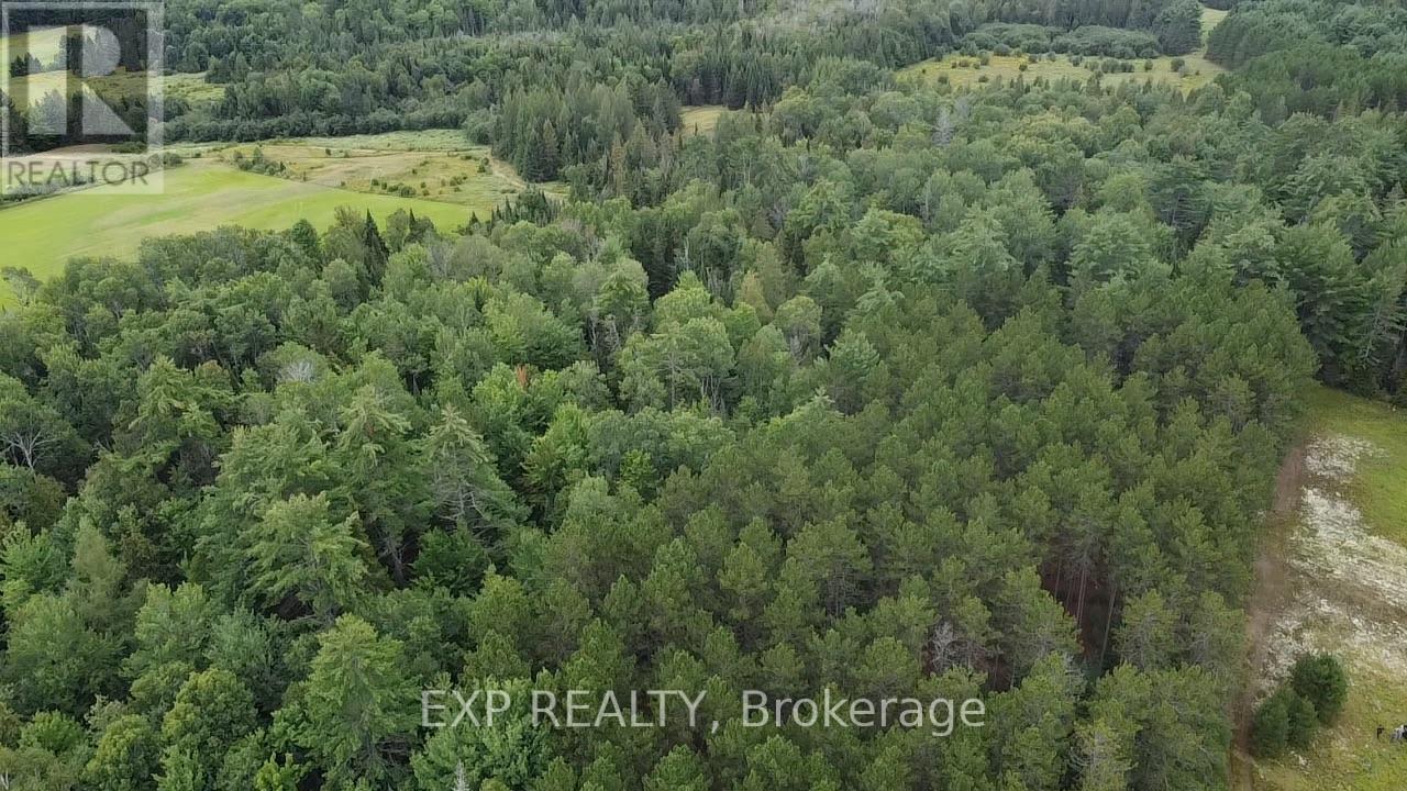 6311 Palmer Road Property Photo 18