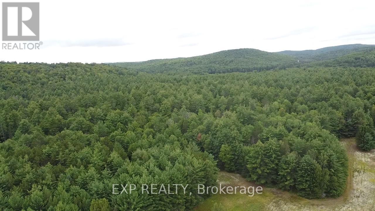 6311 Palmer Road Property Photo 23