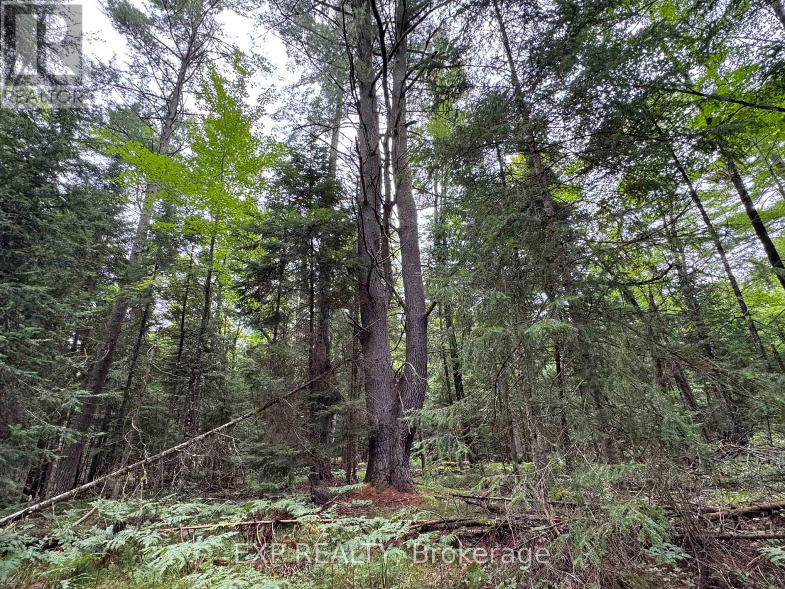 6311 Palmer Road Property Photo 25