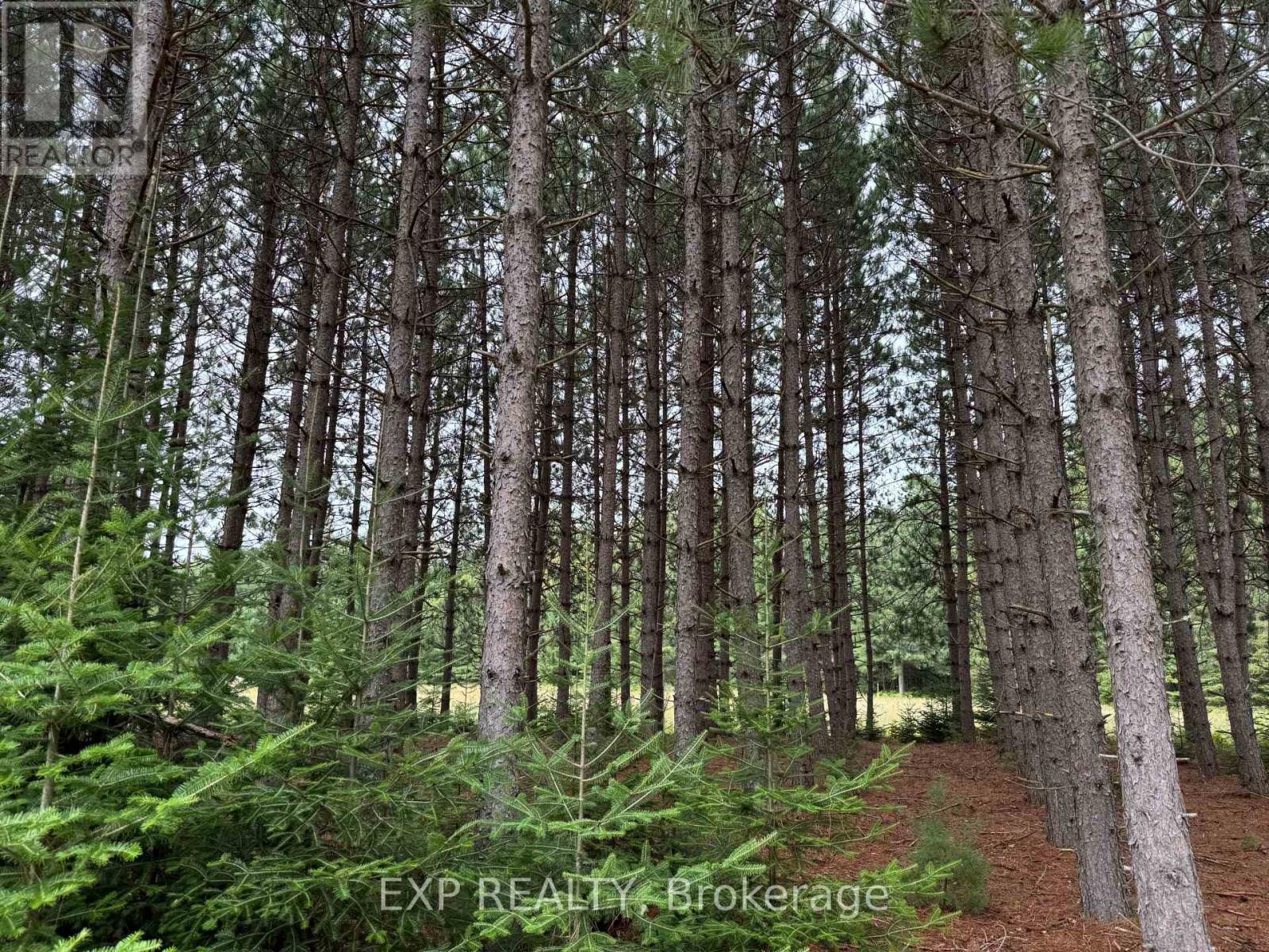 6311 Palmer Road Property Photo 27