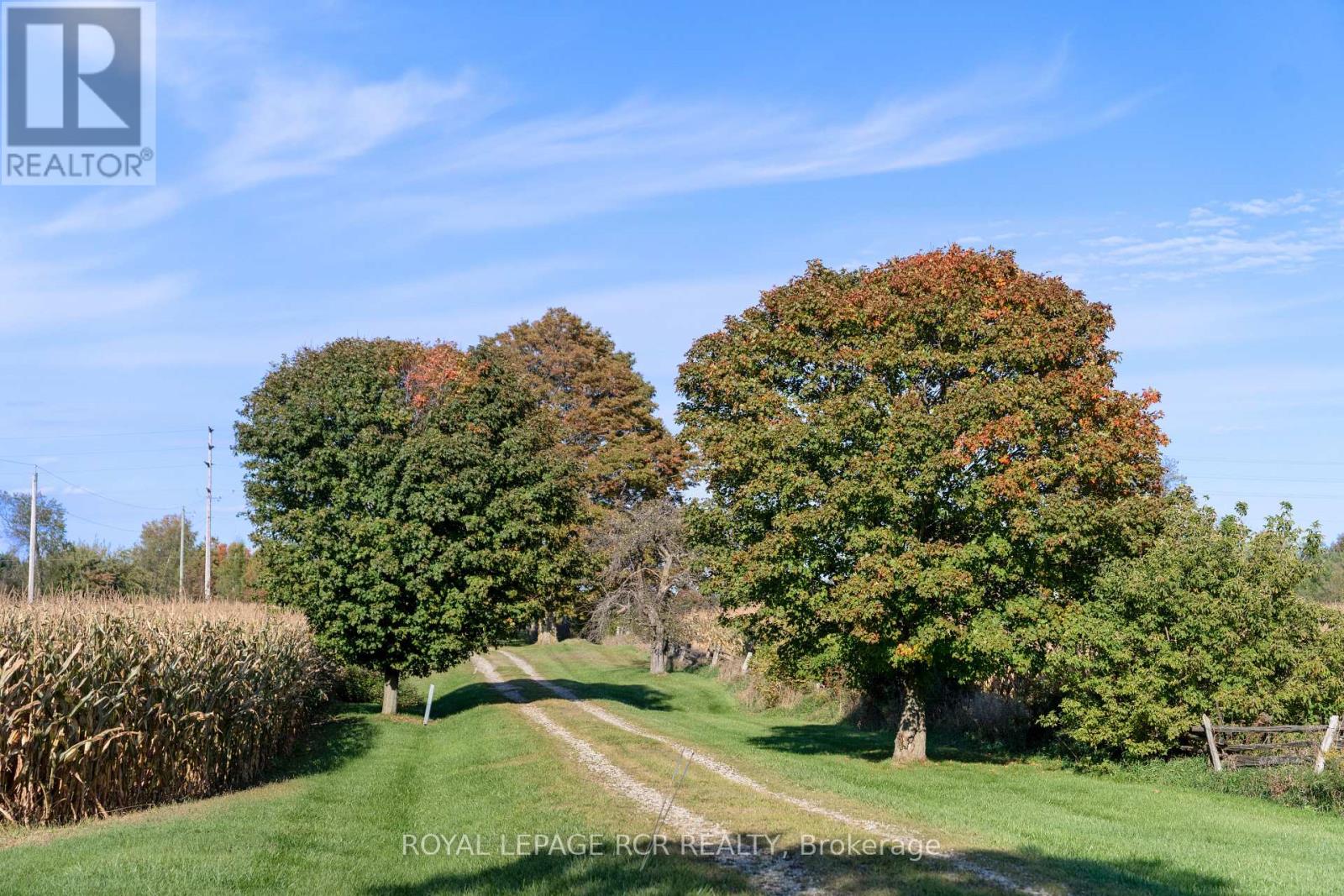 5600 Fourth Line Property Photo 6