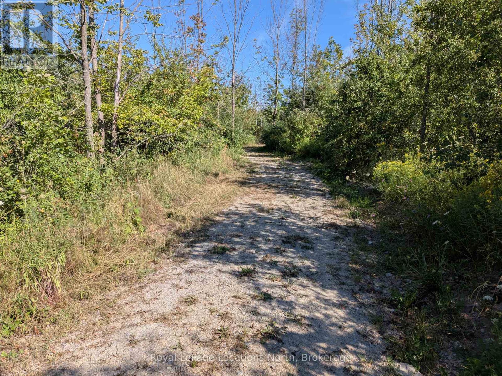 86177 7 Side Road Property Photo 17
