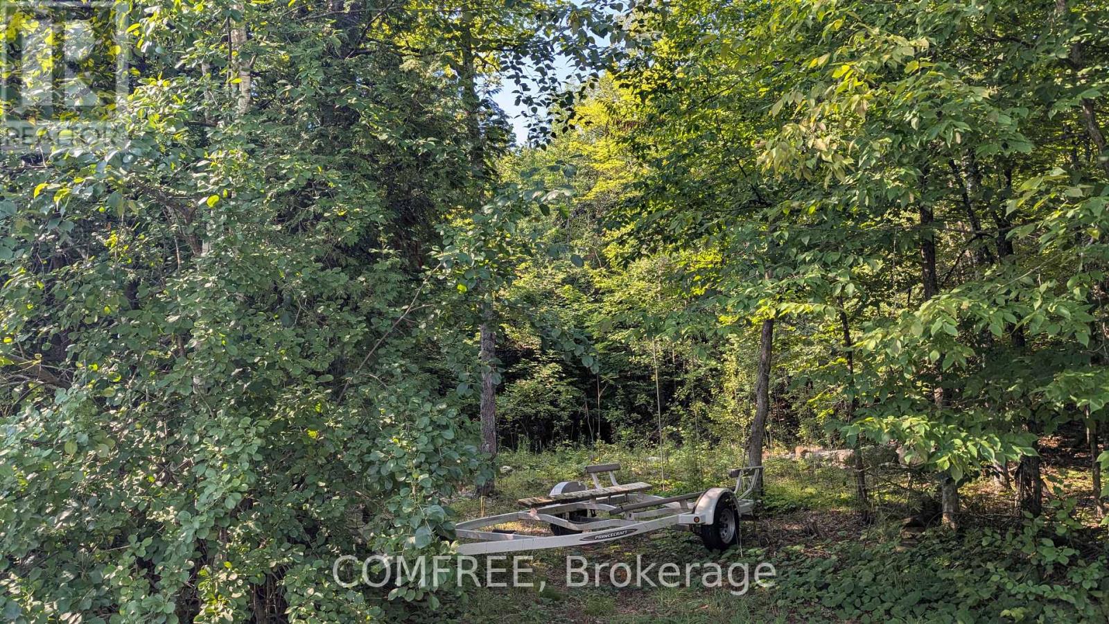 4859 Opeongo Road Property Photo 1