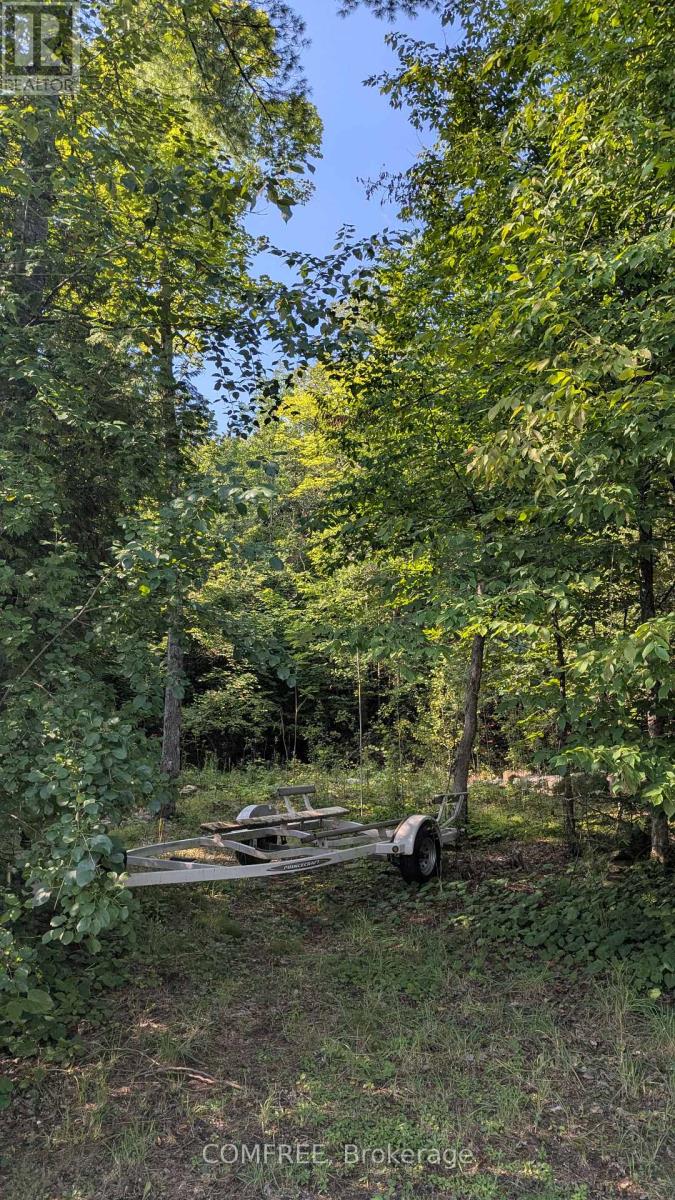 4859 Opeongo Road Property Photo 2