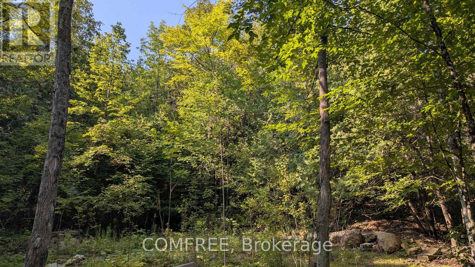 4859 Opeongo Road Property Photo 3