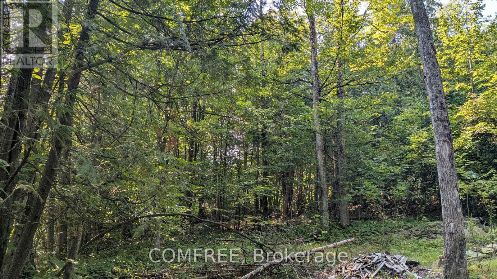 4859 Opeongo Road Property Photo 4