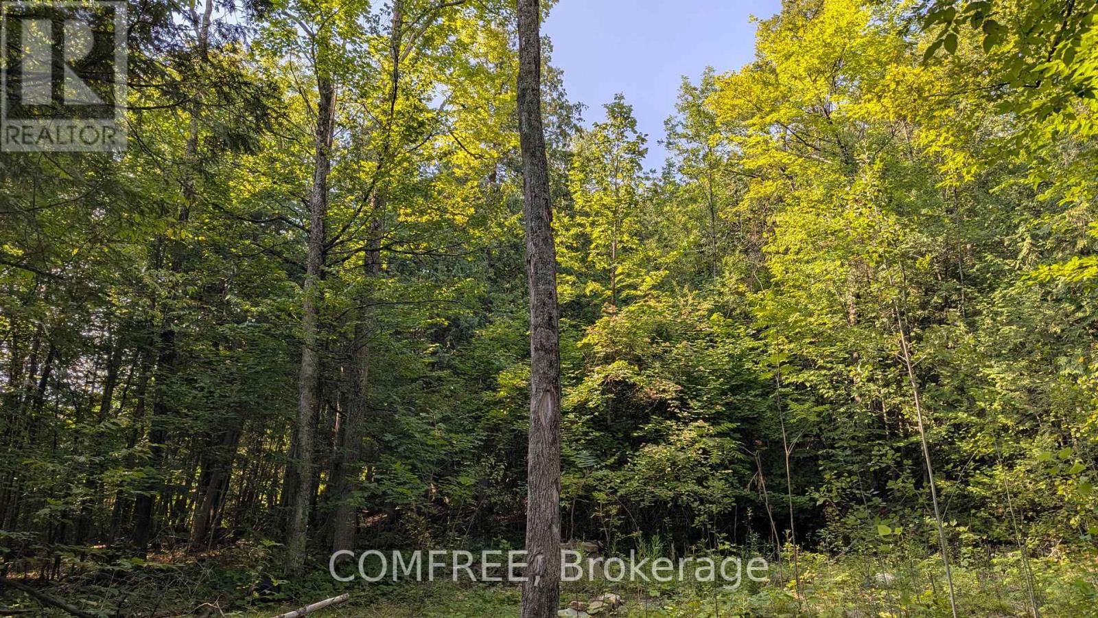 4859 Opeongo Road Property Photo 5