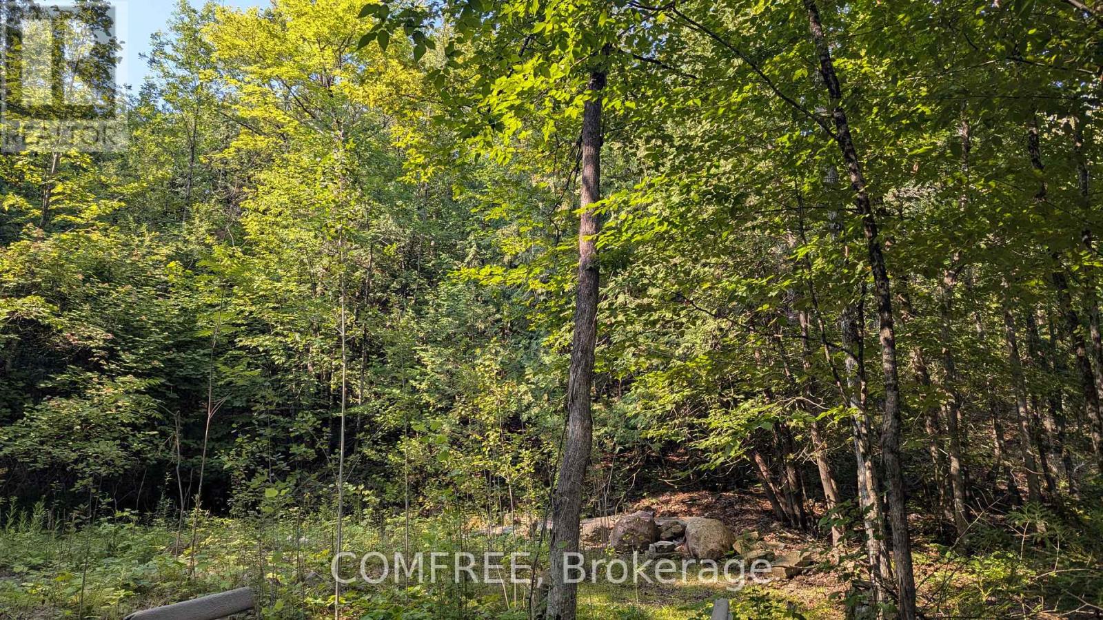 4859 Opeongo Road Property Photo 6