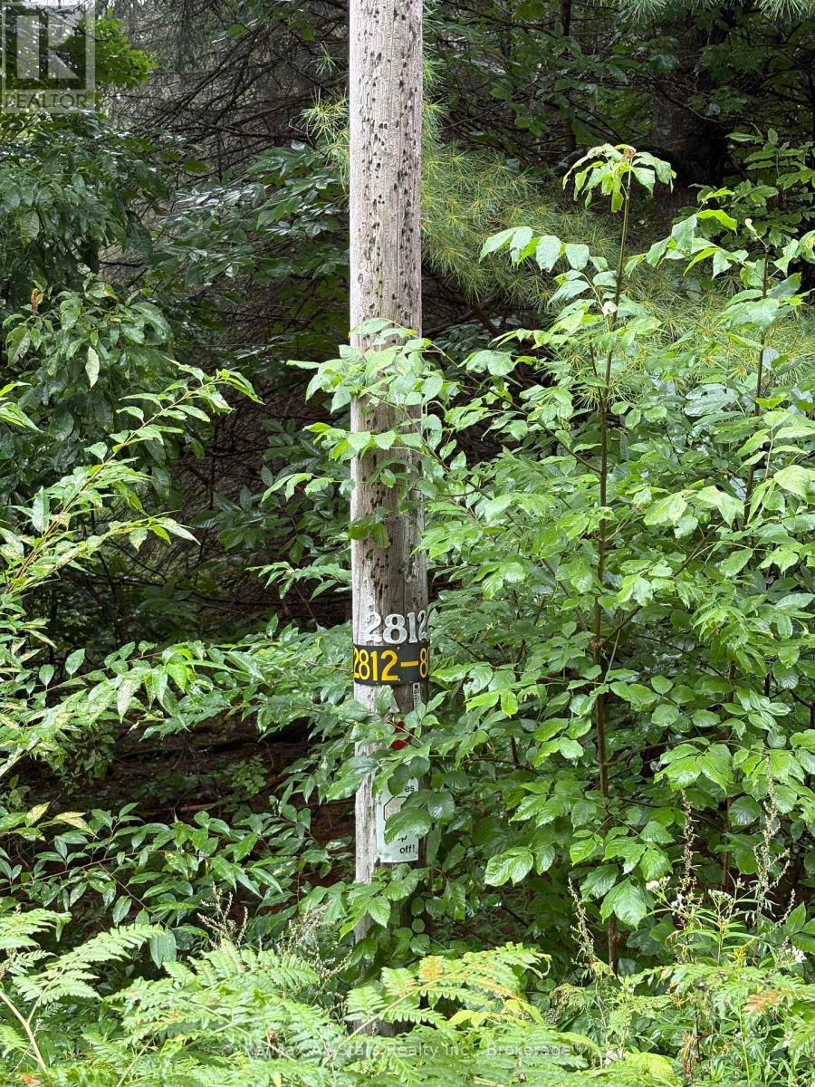 968 North Mary Lake Road Property Photo 2