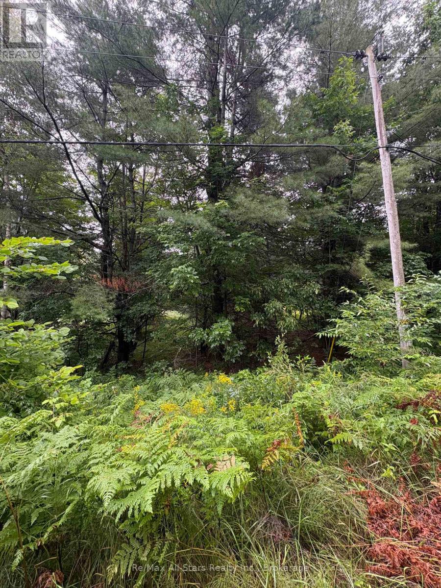 968 North Mary Lake Road Property Photo 3