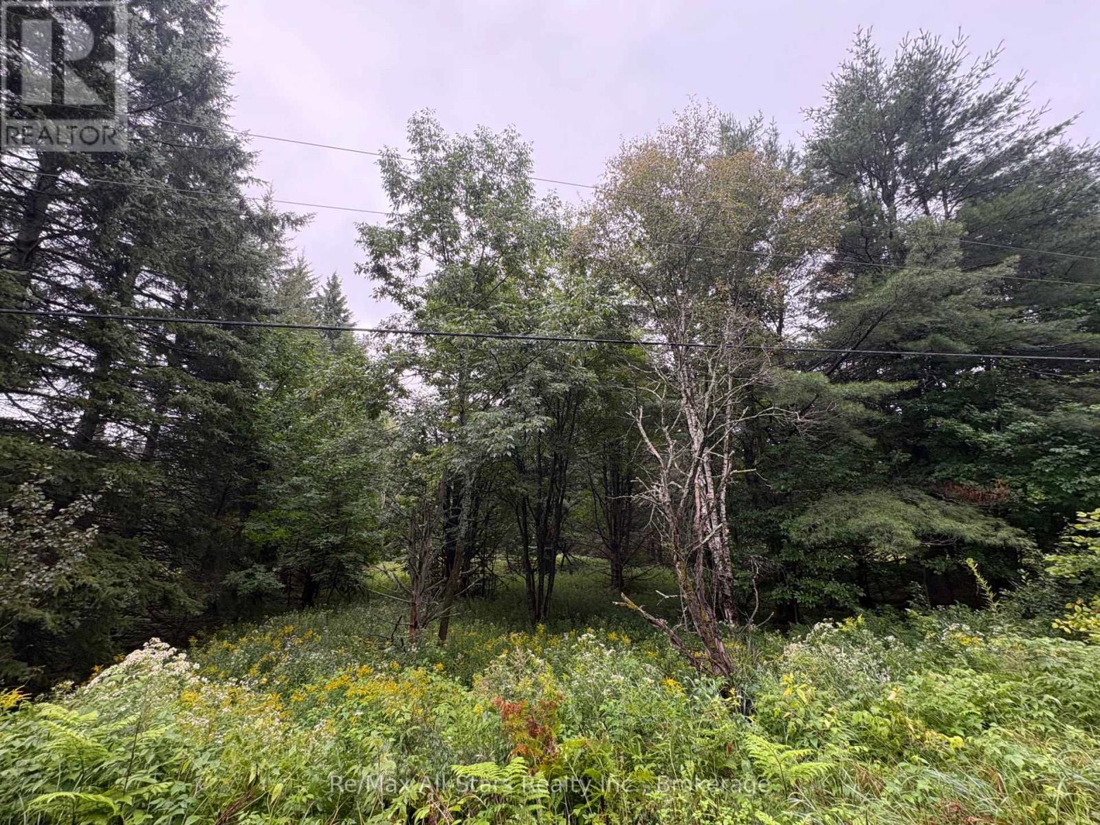 964 North Mary Lake Road Property Photo 3