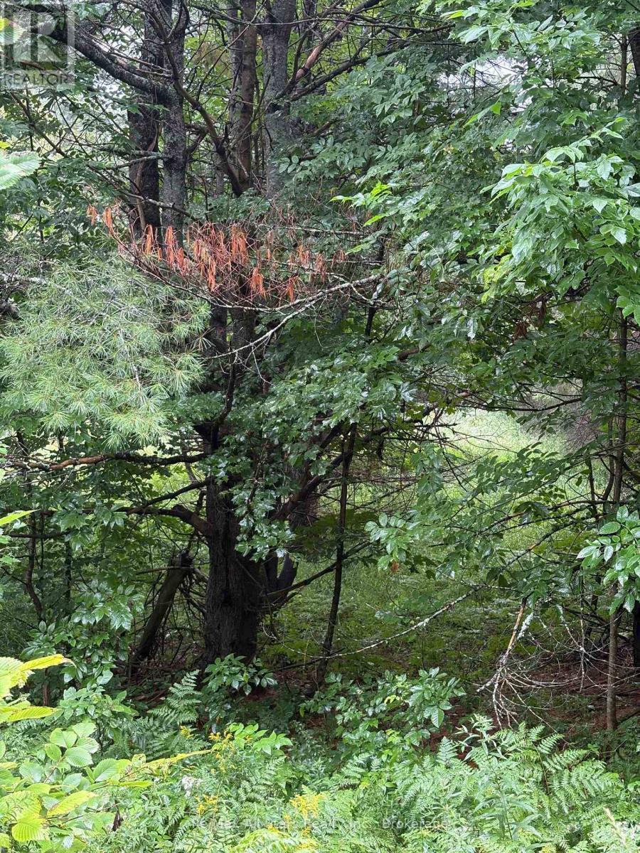 964 North Mary Lake Road Property Photo 4