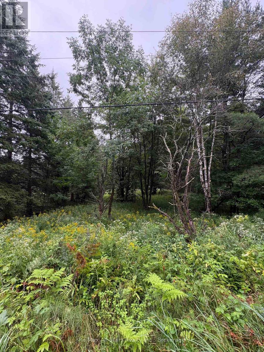 964 North Mary Lake Road Property Photo 5