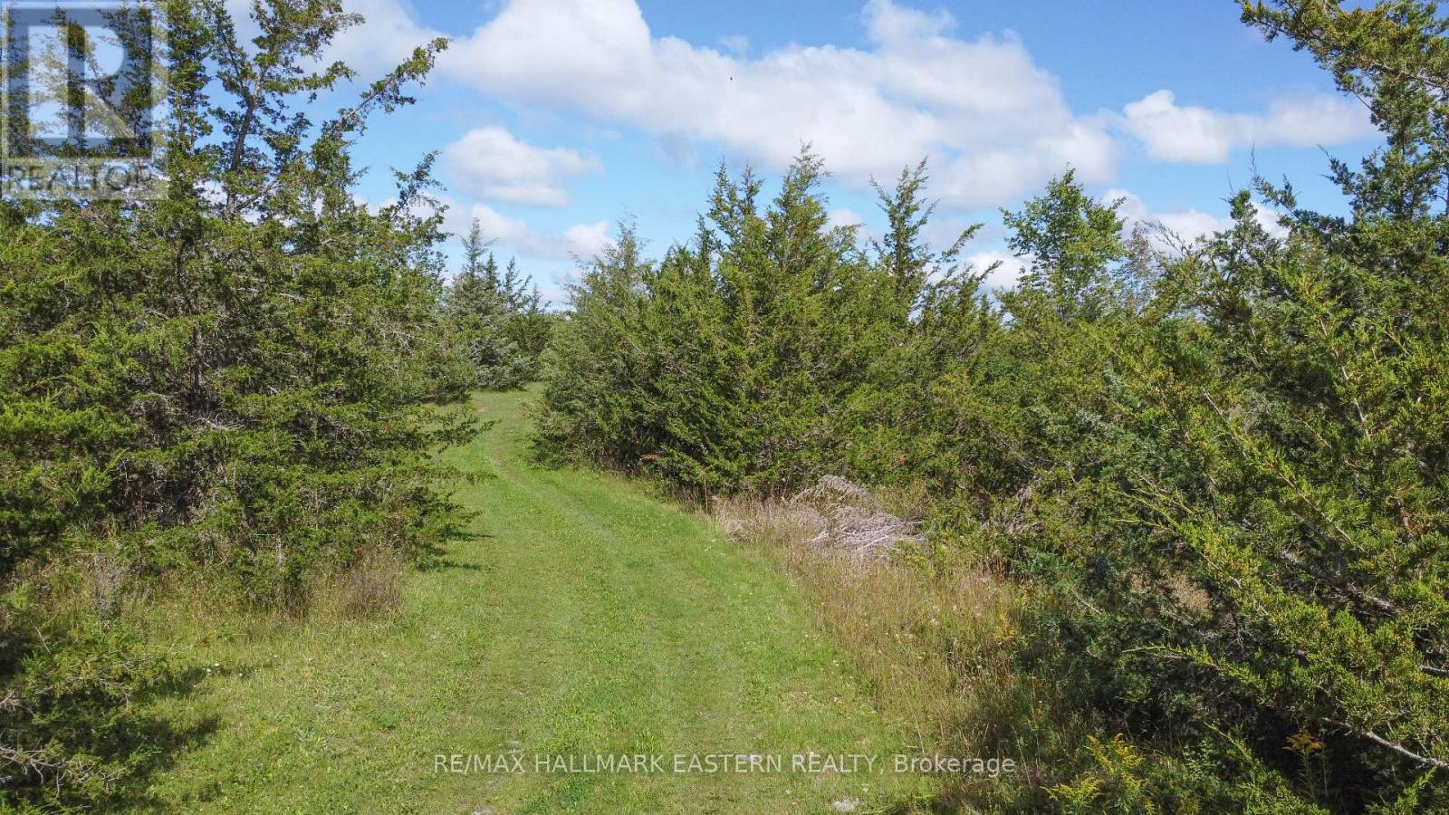 2098 13th Line E Property Photo 7
