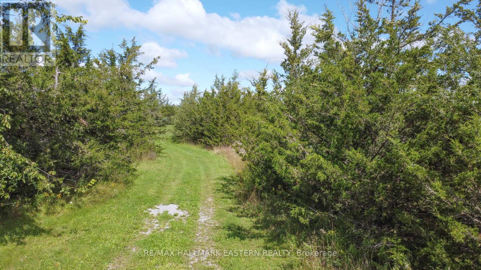 2098 13th Line E Property Photo 8