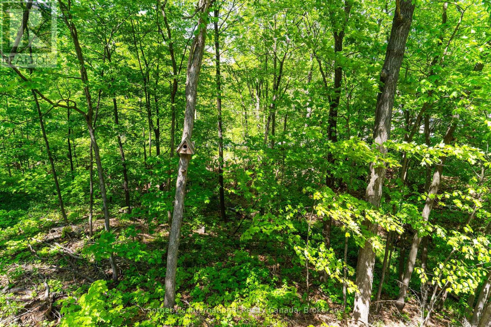 180 Clairmont Road Property Photo 23