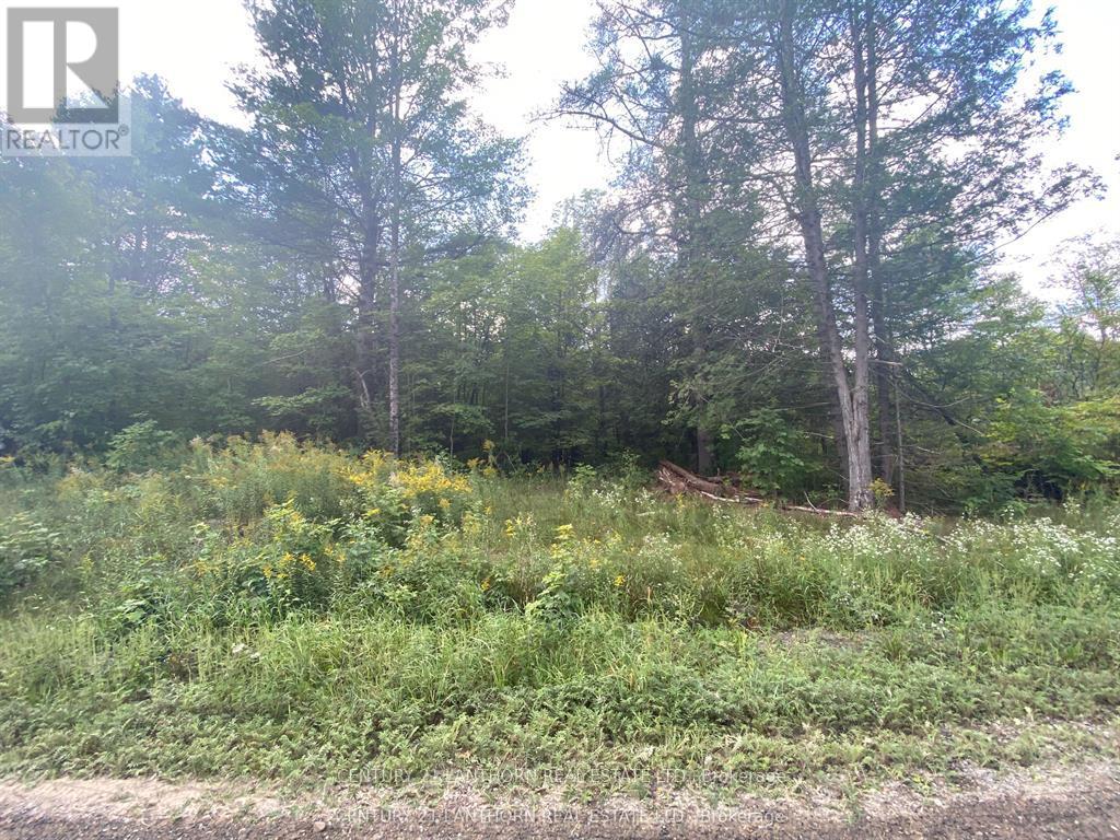 0 Stoney Settlement Road Property Photo 5