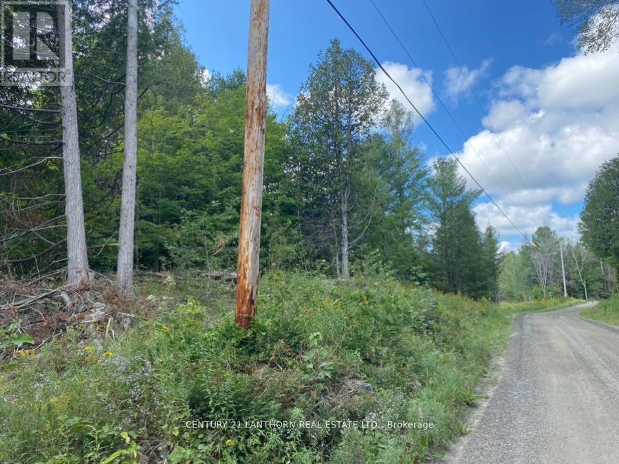 0 Stoney Settlement Road Property Photo 12