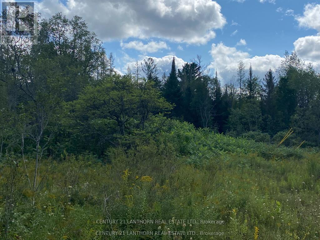 0 Stoney Settlement Road Property Photo 18