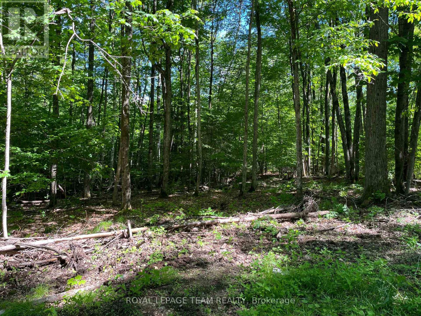 00 Siberia Road Property Photo 2
