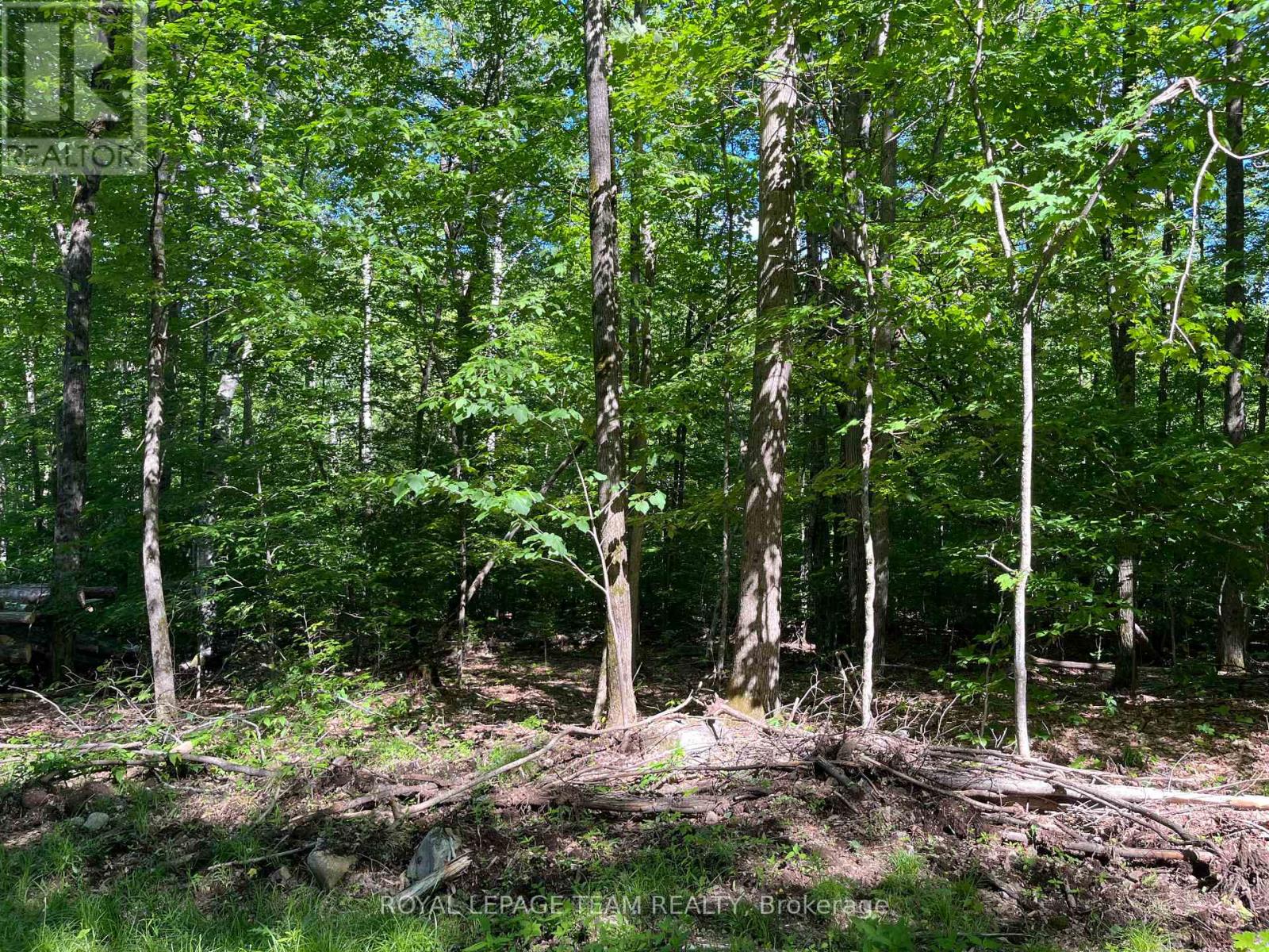 00 Siberia Road Property Photo 4
