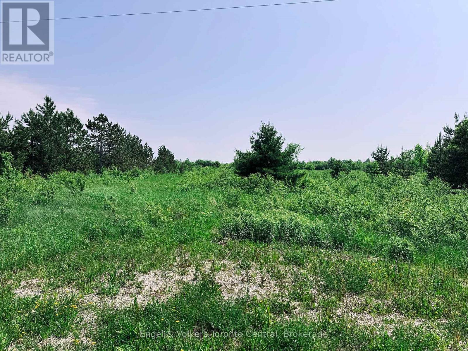 121 Robertson Avenue Property Photo 4