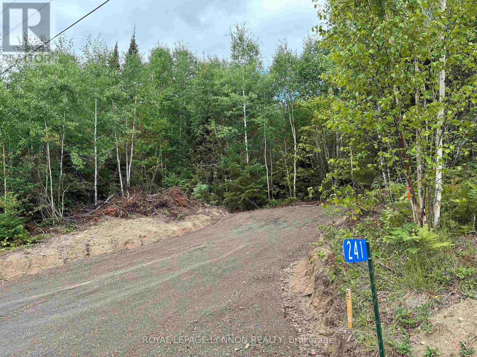 241 CLOUD LAKE ROAD