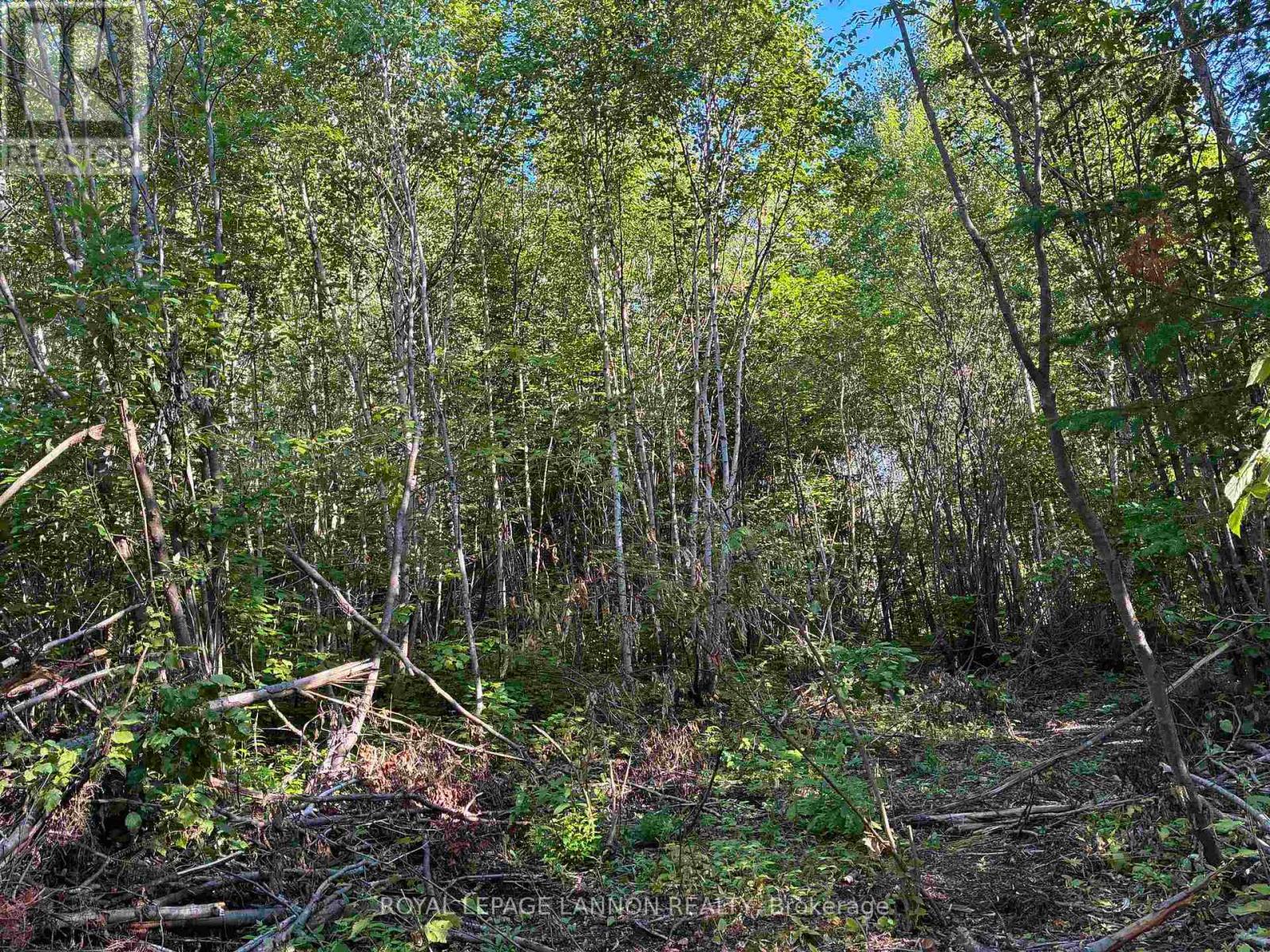 241 Cloud Lake Road Property Photo 3