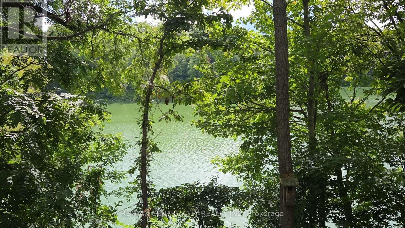 20863 Wye Creek Drive Property Photo 27