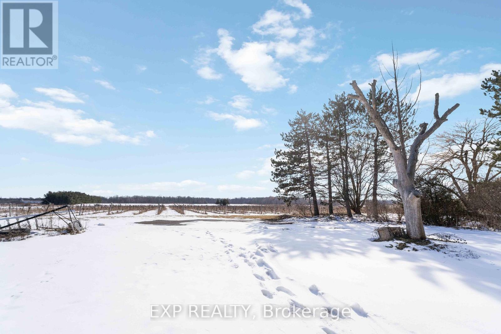 5378 Fly Road Property Photo 41