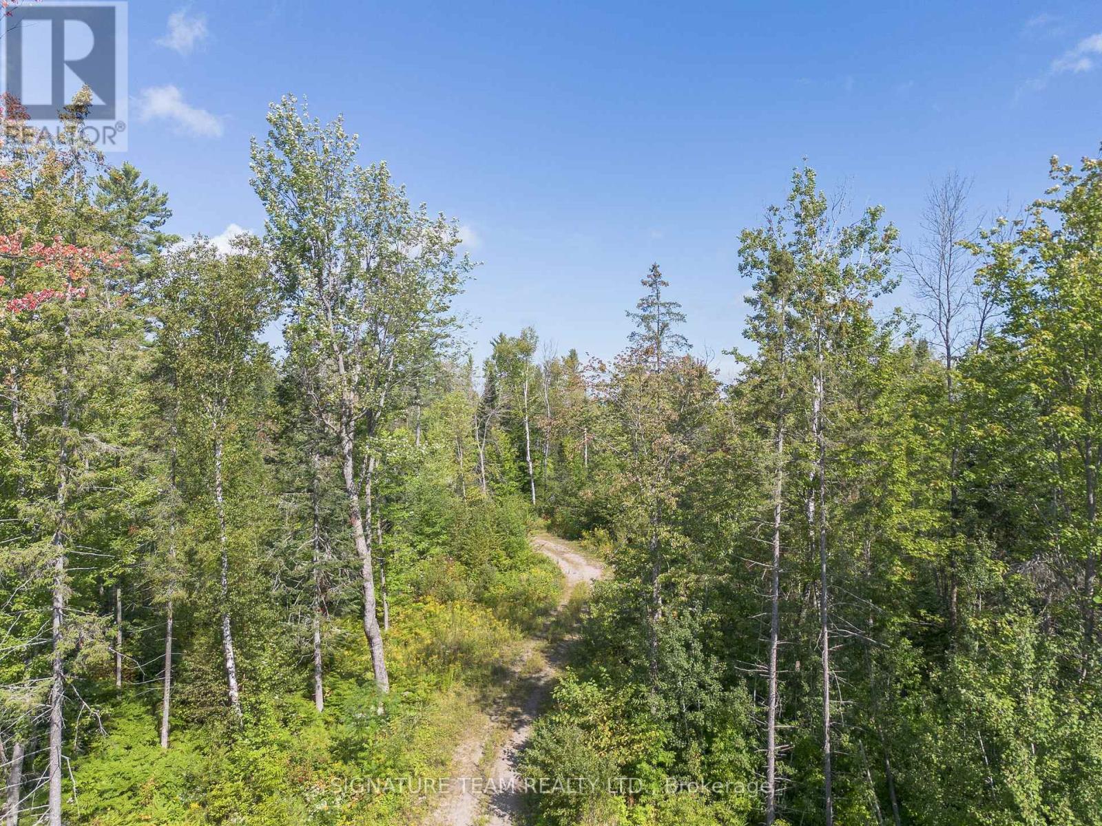 0 Mud Lake Road Property Photo 4