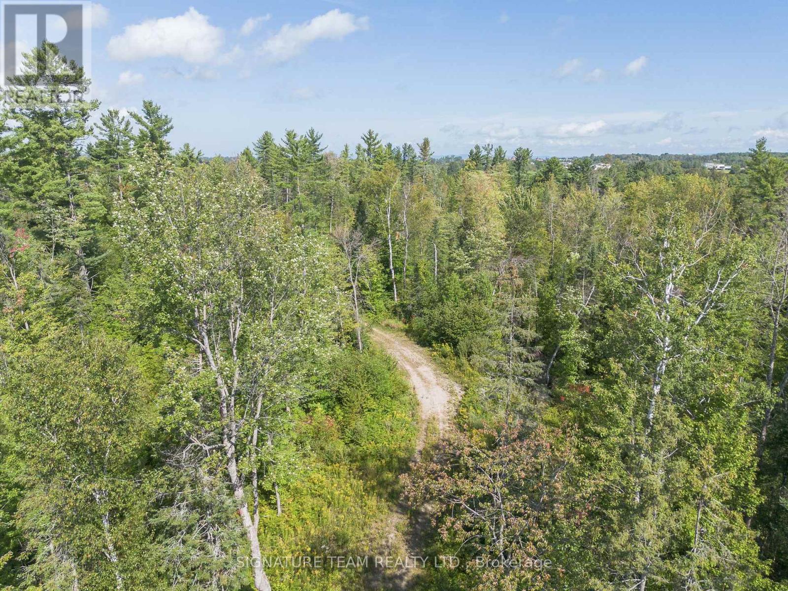 0 Mud Lake Road Property Photo 5